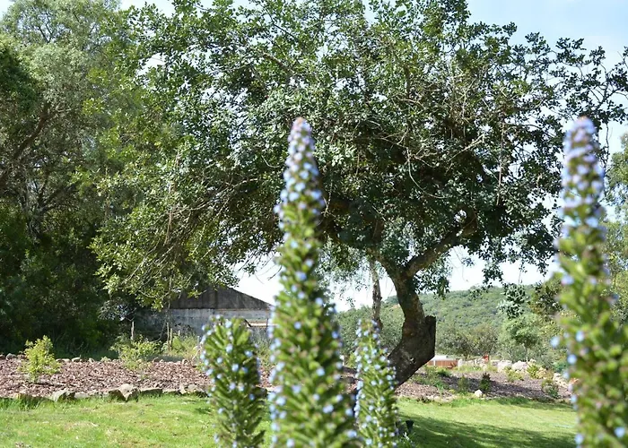 Quinta Do Freixo