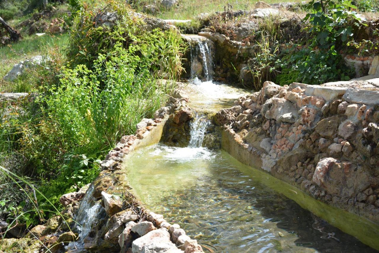 Casa de Campo Quinta Do Freixo