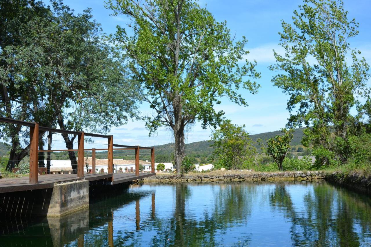 Casa de Campo Quinta Do Freixo