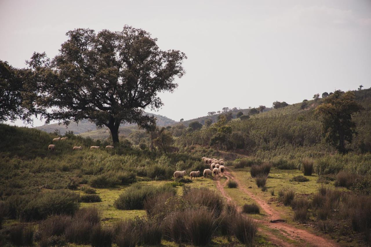 Séjour à la ferme Quinta Do Freixo *