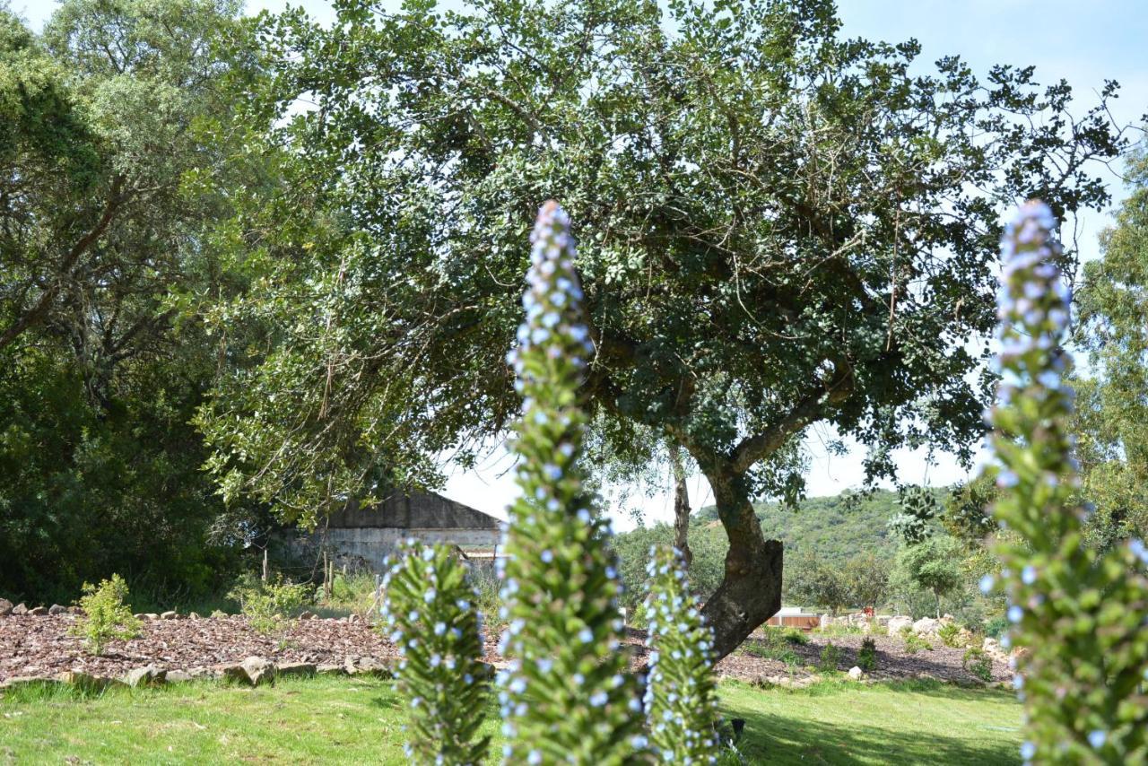 Quinta Do Freixo