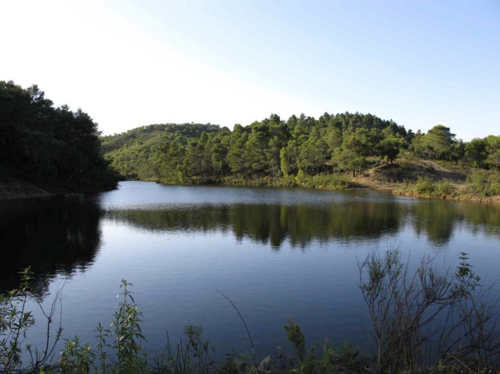 Quinta Do Freixo